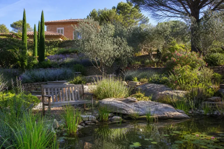 Curage de mare en Provence-Alpes-Côte d'Azur