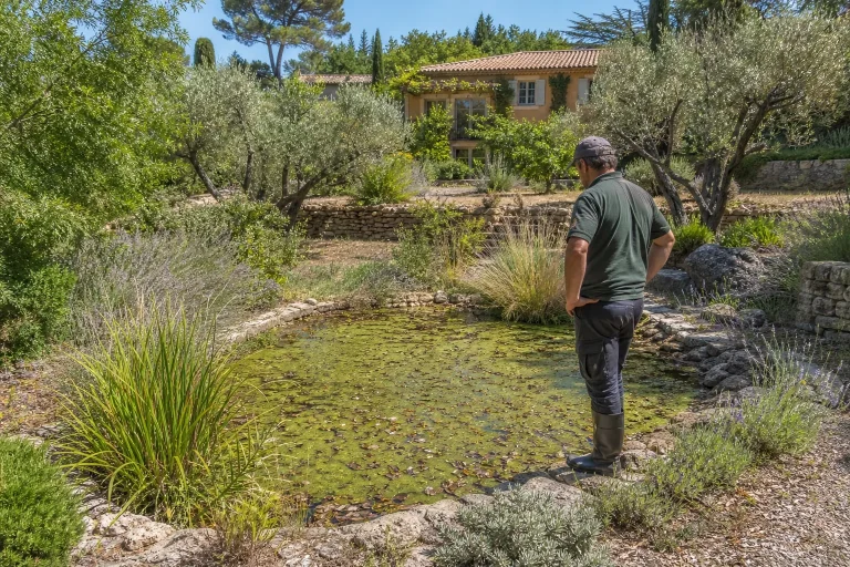 Replantation des berges d'une mare en Provence-Alpes-Côte d'Azur